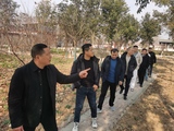 文章附图